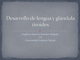 Angélica Shantay Bautista Delgado
               1ºA
  Universidad Anáhuac Mayab
 