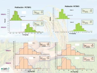 Desarrollo de lineas con mayor contenido de hierro y zinc