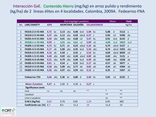 Desarrollo de lineas con mayor contenido de hierro y zinc