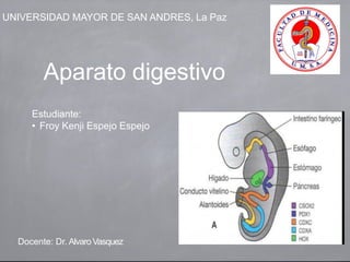 UNIVERSIDAD MAYOR DE SAN ANDRES, La Paz
Aparato digestivo
Docente: Dr. AlvaroVasquez
Estudiante:
• Froy Kenji Espejo Espejo
 