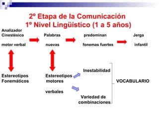 2º Etapa de la Comunicación  1º Nivel Lingüístico (1 a 5 años) Analizador Cinestésico  Palabras   predominan  Jerga  motor...