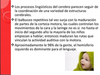  Los procesos lingüísticos del cerebro parecen seguir de
  la coordinación de una variedad de estructuras
  cerebrales.
 El balbuceo repetitivo tal vez surja con la maduración
  de partes de la corteza motora, las cuales controlan los
  movimientos de la cara y la laringe no es si no hasta el
  inicio del segundo año la mayoría de los niños
  empiezan a hablar; entonces maduran las rutas que
  vinculan la actividad auditiva con la motora.
 Aproximadamente le 98% de la gente, el hemisferio
  izquierdo es dominante para el lenguaje.
 