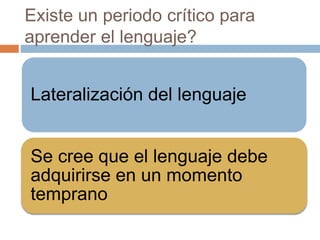 Existe un periodo crítico para
aprender el lenguaje?
Lateralización del lenguaje
Se cree que el lenguaje debe
adquirirse en un momento
temprano
 