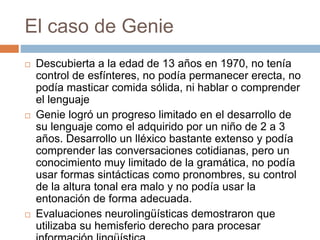 El caso de Genie
 Descubierta a la edad de 13 años en 1970, no tenía
control de esfínteres, no podía permanecer erecta, no
podía masticar comida sólida, ni hablar o comprender
el lenguaje
 Genie logró un progreso limitado en el desarrollo de
su lenguaje como el adquirido por un niño de 2 a 3
años. Desarrollo un lléxico bastante extenso y podía
comprender las conversaciones cotidianas, pero un
conocimiento muy limitado de la gramática, no podía
usar formas sintácticas como pronombres, su control
de la altura tonal era malo y no podía usar la
entonación de forma adecuada.
 Evaluaciones neurolingüísticas demostraron que
utilizaba su hemisferio derecho para procesar
 