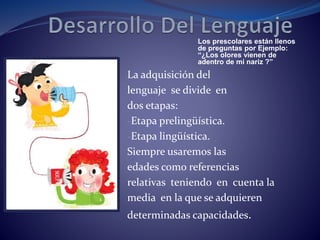 Los prescolares están llenos
de preguntas por Ejemplo:
“¿Los olores vienen de
adentro de mi nariz ?”
La adquisición del
lenguaje se divide en
dos etapas:
-Etapa prelingüística.
-Etapa lingüística.
Siempre usaremos las
edades como referencias
relativas teniendo en cuenta la
media en la que se adquieren
determinadas capacidades.
 