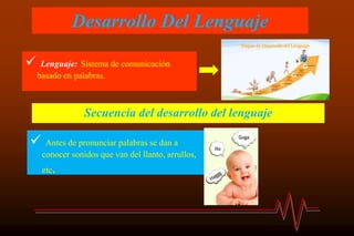 Desarrollo Del Lenguaje
 Lenguaje: Sistema de comunicación
basado en palabras.
Secuencia del desarrollo del lenguaje
 Antes de pronunciar palabras se dan a
conocer sonidos que van del llanto, arrullos,
etc.
 