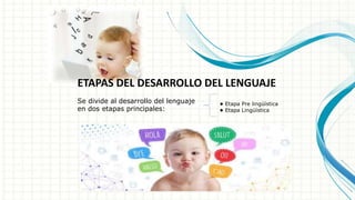 ETAPAS DEL DESARROLLO DEL LENGUAJE
Se divide al desarrollo del lenguaje
en dos etapas principales:
• Etapa Pre lingüística
• Etapa Lingüística
 