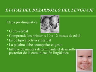 Etapa pre-lingüística: O pre-verbal Comprende los primeros 10 a 12 meses de edad Es de tipo afectivo y gestual La palabra debe acompañar el gesto Influye de manera determinante el desarrollo posterior de la comunicación lingüística. ETAPAS DEL DESARROLLO DEL LENGUAJE 