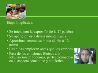 Etapa lingüística: Se inicia con la expresión de la 1° palabra Su aparición esta diversamente fijada Aproximadamente se inicia al año o 12 meses Las niñas empiezan antes que los varones Pasa de las emisiones fónicas a la adquisición de fonemas, perfeccionándose en el aspecto semántico y sintáctico. 
