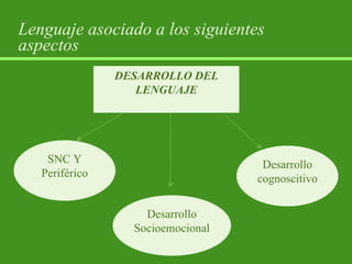 Lenguaje asociado a los siguientes aspectos SNC Y Periférico Desarrollo cognoscitivo Desarrollo Socioemocional DESARROLLO DEL LENGUAJE 