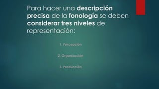 Para hacer una descripción 
precisa de la fonología se deben 
considerar tres niveles de 
representación: 
1. Percepción 
2. Organización 
3. Producción 
 