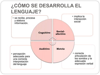 ¿CÓMO SE DESARROLLA EL
LENGUAJE?
• correcta
articulación de
los sonidos y la
adecuada
expresión verbal
• percepción
adecuada para
una correcta
interpretación
del lenguaje
• implica la
interacción
social
• se recibe, procesa
y elabora
información.
Cognitivo
Social-
afectivo
MotrizAuditivo