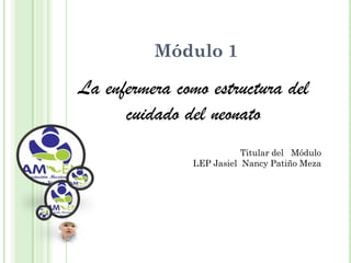 Módulo 1

La enfermera como estructura del
      cuidado del neonato
                          Titular del Módulo
               LEP Jasiel Nancy Patiño Meza
 