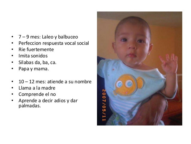 Desarrollo Del Nino Durante Los Primeros 12 Meses