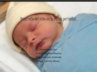 Presentado por:
Priscila carolina Riascos
Diana marcela Andrade
Angie Camila Jobsoy
Desarrollo del niño en la etapa perinatal.
 