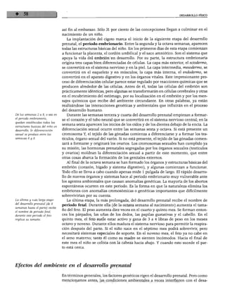 DESARROLLO FÍSICO




                                  así fin al embarazo. Sólo 31 por ciento de las concepciones llegan a culminar en el
                                  nacimiento de un niño.
                                     La implantación del cigoto marca el inicio de la siguiente etapa del desarrollo
                                  prenatal, el periodo embrionario. Entre la segunda y la octava semanas, aparecen
                                  todas las estructuras básicas del niño. En los primeros días de esta etapa comienzan
                                  a funcionar la placenta, el cordón umbilical y el saco amniótico. Son el sistema que
                                  apoya la vida del embrión en desarrollo. Por su parte, la estructura embrionaria
                                  origina tres capas bien diferenciadas de células. La capa más exterior, el ectodermo,
                                  se convertirá en el sistema nervioso y en la piel. La capa intermedia, mesodermo, se
                                  convertirá en el esqueleto y en músculos; la capa más interna, el endodermo, se
                                  convertirá en el aparato digestivo y en los órganos vitales. Este impresionante pro
                                  ceso de diferenciación celular parece estar regulado por reacciones químicas que se
                                  producen alrededor de las células. Antes de él, todas las células del embrión son
                                  prácticamente idénticas, pero algunas se transformarán en células cerebrales y otras
                                  en el recubrimiento del estómago, por su localización en el embrión y por los men
                                  sajes químicos que recibe del ambiente circundante. En otras palabras, ya están
                                  realizándose las interacciones genéticas y ambientales que influirán en el proceso
                                  del desarrollo humano.
De las semanas 2 a 8, o sea en       Durante las semanas tercera y cuarta del desarrollo prenatal empiezan a formar
el periodo embrionario,
                                  se el corazón y el tubo neural que se convertirá en el sistema nervioso central; en la
quedan establecidas todas las
                                  semana sexta aparecen los inicios de los oídos y de los dientes debajo de la encía. La
estructuras básicas del niño en
desarrollo; la diferenciación     diferenciación sexual ocurre entre las semanas sexta y octava. Si está presente un
sexual se produce entre las       cromosoma Y, el tejido de las gónadas comienza a diferenciarse y a formar los tes
semanas 6 y 8.                    tículos, órgano sexual del varón. Si no está presente, el tejido de las gónadas comen
                                  zará a formarse y originará los ovarios. Los cromosomas sexuales han cumplido ya
                                  su misión; las hormonas prenatales segregadas por los órganos sexuales (testículos
                                  y ovarios) moldean la diferenciación sexual a partir de este momento, que entre
                                  otras cosas abarca la formación de los genitales externos.
                                    Al final de la octava semana se han formado los órganos y estructuras básicas del
                                  embrión (corazón, hígado y sistema digestivo), y algunas comienzan a funcionar.
                                  Tbdo ello se lleva a cabo cuando apenas mide 1 pulgada de largo. El rápido desarro
                                  llo de nuevos órganos y sistemas hace al periodo embrionario muy vulnerable ante
                                  los agentes ambientales que causan anomalías genéticas. La mayoría de los abortos
                                  espontáneos ocurren en este periodo. Es la forma en que la naturaleza elimina los
                                  embriones con anomalías cromosómicas o genéticas importantes que difícilmente
                                  sobrevivirían por su cuenta.
La última y más larga etapa          La última etapa, la más prolongada, del desarrollo prenatal recibe el nombre de
del desarrollo prenatal (de 8
                                  periodo fetal. Durante ella (de la octava semana al nacimiento) aumenta el tama
semanas hasta el parto) recibe
                                  ño del feto. El peso aumenta diez veces en el cuarto y quinto mes. Se forman enton
el nombre de periodo fetal;
durante este periodo el feto      ces los párpados, las uñas de los dedos, las papilas gustativas y el cabello. En el
triplica su tamaño.               quinto mes, el feto suele estar activo y gana de 3 a 4 libras de peso en los meses
                                  octavo y noveno. Durante ellos madura el sistema nervioso para permitir la respira
                                  ción después del parto. Si el niño nace en el séptimo mes podrá sobrevivir, pero
                                  necesitará sistemas especiales de soporte. En el noveno mes, el feto ya no cabe en
                                  el seno materno; tanto él como su madre se sienten incómodos. Hacia el final de
                                  este mes el niño se coloca con la cabeza hacia abajo. Y cuando esto sucede el par
                                  to está cerca.




Efectos del ambiente en el desarrollo prenatal

                                  En términos generales, los factores genéticos rigen el desarrollo prenatal. Pero como
                                  mencionamos antesj las condiciones ambientales a veces interfieren con el desa-
 