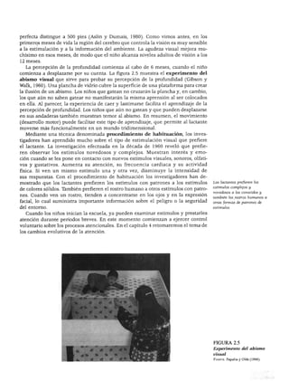DESARROLLO PERCEPTUAL




perfecta distingue a 500 pies (Aslin y Dumais, 1980). Como vimos antes, en los
primeros meses de vida la región del cerebro que controla la visión es muy sensible
a la estimulación y a la información del ambiente. La agudeza visual mejora mu
chísimo en esos meses, de modo que el niño alcanza niveles adultos de visión a los
12 meses.
  La percepción de la profundidad comienza al cabo de 6 meses, cuando el niño
comienza a desplazarse por su cuenta. La figura 2.5 muestra el experimento del
abismo visual que sirve para probar su percepción de la profundidad (Gibson y
Walk, 1960). Una plancha de vidrio cubre la superficie de una plataforma para crear
la ilusión de un abismo. Los niños que gatean no cruzarán la plancha y, en cambio,
los que aún no saben gatear no manifestarán la misma aprensión al ser colocados
en ella. Al parecer, la experiencia de caer y lastimarse facilita el aprendizaje de la
percepción de profundidad. Los niños que aún no gatean y que pueden desplazarse
en sus andaderas también muestran temor al abismo. En resumen, el movimiento
(desarrollo motor) puede facilitar este tipo de aprendizaje, que permite al lactante
moverse más funcionalmente en un mundo tridimensional.
  Mediante una técnica denominada procedimiento de habituación, los inves
tigadores han aprendido mucho sobre el tipo de estimulación visual que prefiere
el lactante. La investigación efectuada en la década de 1960 reveló que prefie
ren observar los estímulos novedosos y complejos. Muestran interés y emo
ción cuando se les pone en contacto con nuevos estímulos visuales, sonoros, olfati
vos y gustativos. Aumenta su atención, su frecuencia cardiaca y su actividad
física. Si ven un mismo estímulo una y otra vez, disminuye la intensidad de
sus respuestas. Con el procedimiento de habituación los investigadores han de
mostrado que los lactantes prefieren los estímulos con patrones a los estímulos          Los lactantes prefieren los

de colores sólidos. También prefieren el rostro humano a otros estímulos con patro       estímulos complejos y
                                                                                         novedosos a los conocidos y
nes. Cuando ven un rostro, tienden a concentrarse en los ojos y en la expresión
                                                                                         también los rostros humanos a
facial, lo cual suministra importante información sobre el peligro o la seguridad        otras formas de patrones de
del entorno.                                                                             estímulos.
  Cuando los niños inician la escuela, ya pueden examinar estímulos y prestarles
atención durante periodos breves. En este momento comienzan a ejercer control
voluntario sobre los procesos atencionales. En el capítulo 4 retomaremos el tema de
los cambios evolutivos de la atención.




                                                                                         FIGURA 2.5
                                                                                         Experimento del abismo
                                                                                         visual
                                                                                         Fuente: Papalia y Olds (1996).
 