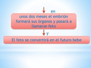 unos dos meses el embrión
formará sus órganos y pasará a
llamarse feto
en
El feto se convertirá en el futuro bebe
y
 