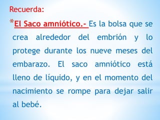 Recuerda:
*El Saco amniótico.- Es la bolsa que se
crea alrededor del embrión y lo
protege durante los nueve meses del
embarazo. El saco amniótico está
lleno de líquido, y en el momento del
nacimiento se rompe para dejar salir
al bebé.
 