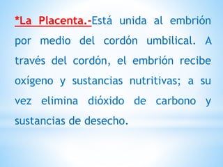 *La Placenta.-Está unida al embrión
por medio del cordón umbilical. A
través del cordón, el embrión recibe
oxígeno y sustancias nutritivas; a su
vez elimina dióxido de carbono y
sustancias de desecho.
 
