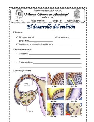 1. Completa:
a) El cigoto pasa al __________________ allí se origina el___________
porque toma ______________________
b) La placenta y el embrión están unidas por el _________________
2. Escribe la función de:
 La placenta:
 El saco amniótico:
3. Observa y Completa
ÁREA: C.A. NIVEL: PRIMARIA GRADO: 3º FECHA: 25/10/16
INSTITUCIÓN EDUCATIVA PRIVADA
GUÍA N° 36
 