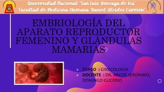 EMBRIOLOGÍA DEL
APARATO REPRODUCTOR
FEMENINO Y GLÁNDULAS
MAMARIAS
 CURSO : GINECOLOGÍA
 DOCENTE : DR. ARCOS JERONIMO,
DOMINGO GLICERIO
 
