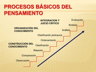 PROCESOS BÁSICOS DEL
PENSAMIENTO
Clasificación jerárquica
ORGANIZACIÓN DEL
CONOCIMIENTO
Evaluación
Síntesis
Análisis
INTEGRACION Y
JUICIO CRITICO
Ordenamiento
Clasificación
Relación
Comparación
Observación
CONSTRUCCIÓN DEL
CONOCIMIENTO
 