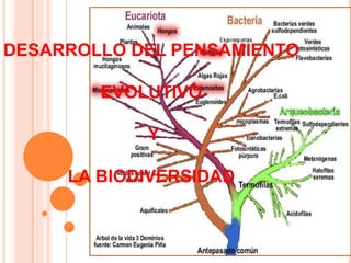 DESARROLLO DEL PENSAMIENTO
EVOLUTIVO
Y
LA BIODIVERSIDAD
 