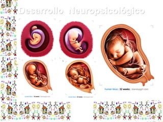 Desarrollo Neuropsicológico

 