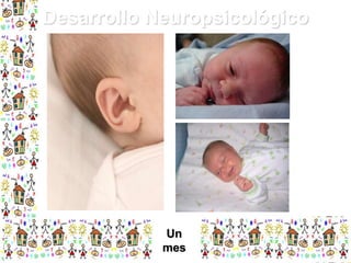 Desarrollo Neuropsicológico

Un
mes

 