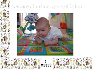 Desarrollo Neuropsicológico

3
MESES

 