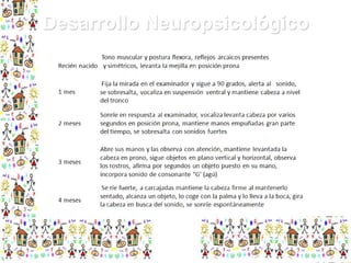 Desarrollo Neuropsicológico

 