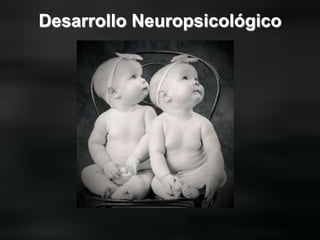 Desarrollo Neuropsicológico

 