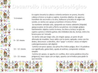 Desarrollo Neuropsicológico

 
