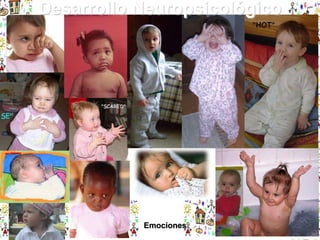 Desarrollo Neuropsicológico

Emociones

 