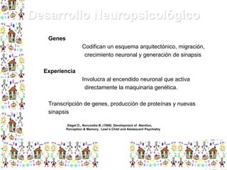 Desarrollo Neuropsicológico
Genes
Codifican un esquema arquitectónico, migración,
crecimiento neuronal y generación de sinapsis
Experiencia
Involucra al encendido neuronal que activa
directamente la maquinaria genética.
Transcripción de genes, producción de proteínas y nuevas
sinapsis
Siegel D., Nurcombe B. (1999). Development of Atention,
Perception & Memory. Lewi’s Child and Adolescent Psychiatry

 