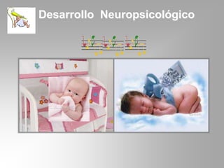 Desarrollo Neuropsicológico

 