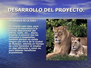 DESARROLLO DEL PROYECTO. ,[object Object],[object Object]