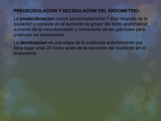 PREDECIDULACION Y DECIDULACION DEL ENDOMETRIO:
La predecidulacion ocurre aproximadamente 7 días después de la
ovulación y consiste en el aumento de grosor del tejido endometrial,
aumento de la vascularización y crecimiento de las glándulas para
potenciar las secreciones.
La decidulacion es una etapa de la explicada anteriormente que
tiene lugar unas 24 horas antes de la aposición del blastocito en el
endometrio.

 