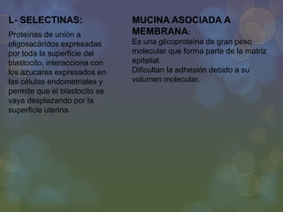L- SELECTINAS:
Proteínas de unión a
oligosacáridos expresadas
por toda la superficie del
blastocito, interacciona con
los azucares expresados en
las células endometriales y
permite que el blastocito se
vaya desplazando por la
superficie uterina.

MUCINA ASOCIADA A
MEMBRANA:
Es una glicoproteína de gran peso
molecular que forma parte de la matriz
epitelial.
Dificultan la adhesión debido a su
volumen molecular.

 