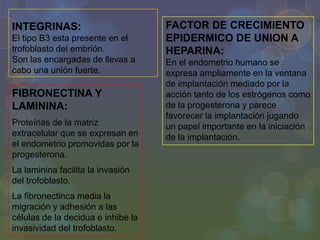 INTEGRINAS:
El tipo B3 esta presente en el
trofoblasto del embrión.
Son las encargadas de llevas a
cabo una unión fuerte.

FIBRONECTINA Y
LAMININA:
Proteínas de la matriz
extracelular que se expresan en
el endometrio promovidas por la
progesterona.
La laminina facilita la invasión
del trofoblasto.
La fibronectinca media la
migración y adhesión a las
células de la decidua e inhibe la
invasividad del trofoblasto.

FACTOR DE CRECIMIENTO
EPIDERMICO DE UNION A
HEPARINA:
En el endometrio humano se
expresa ampliamente en la ventana
de implantación mediado por la
acción tanto de los estrógenos como
de la progesterona y parece
favorecer la implantación jugando
un papel importante en la iniciación
de la implantación.

 