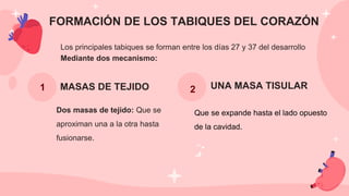 FORMACIÓN DE LOS TABIQUES DEL CORAZÓN
Los principales tabiques se forman entre los días 27 y 37 del desarrollo
Mediante dos mecanismo:
MASAS DE TEJIDO
1
Dos masas de tejido: Que se
aproximan una a la otra hasta
fusionarse.
Que se expande hasta el lado opuesto
de la cavidad.
2 UNA MASA TISULAR
 