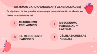 1
MESODERMO
ESPLÁCNICO
MESODERMO
PARAAXIAL Y
LATERAL
EL MESODERMO
FARINGEO
3
2
4
SISTEMAS CARDIOVASCULAR ( GENERALIDADES)
Es el primero de los grandes sistemas que presenta función en el embrión.
Deriva principalmente del:
CÉLULAS(CRESTAS
NEURAL)
 