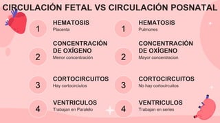 HEMATOSIS
Pulmones
No hay cortocircuitos
CONCENTRACIÓN
DE OXÍGENO
Placenta
Menor concentración
CONCENTRACIÓN
DE OXÍGENO
Mayor concentracion
CORTOCIRCUITOS
HEMATOSIS
CORTOCIRCUITOS
Hay cortocirciutos
1 1
2 2
3 3
CIRCULACIÓN FETAL VS CIRCULACIÓN POSNATAL
Trabajan en series
VENTRICULOS
VENTRICULOS
Trabajan en Paralelo
4 4
 