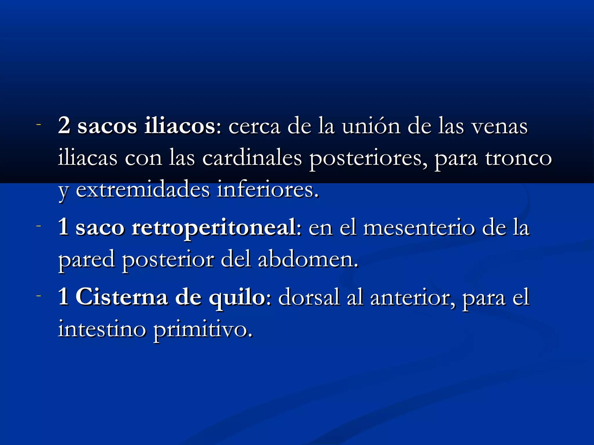 - 22 ssaaccooss iilliiaaccooss:: cceerrccaa ddee llaa uunniióónn ddee llaass vveennaass 
iilliiaaccaass ccoonn llaass ccaarrddiinnaalleess ppoosstteerriioorreess,, ppaarraa ttrroonnccoo 
yy eexxttrreemmiiddaaddeess iinnffeerriioorreess.. 
- 11 ssaaccoo rreettrrooppeerriittoonneeaall:: eenn eell mmeesseenntteerriioo ddee llaa 
ppaarreedd ppoosstteerriioorr ddeell aabbddoommeenn.. 
- 11 CCiisstteerrnnaa ddee qquuiilloo:: ddoorrssaall aall aanntteerriioorr,, ppaarraa eell 
iinntteessttiinnoo pprriimmiittiivvoo.. 
 
