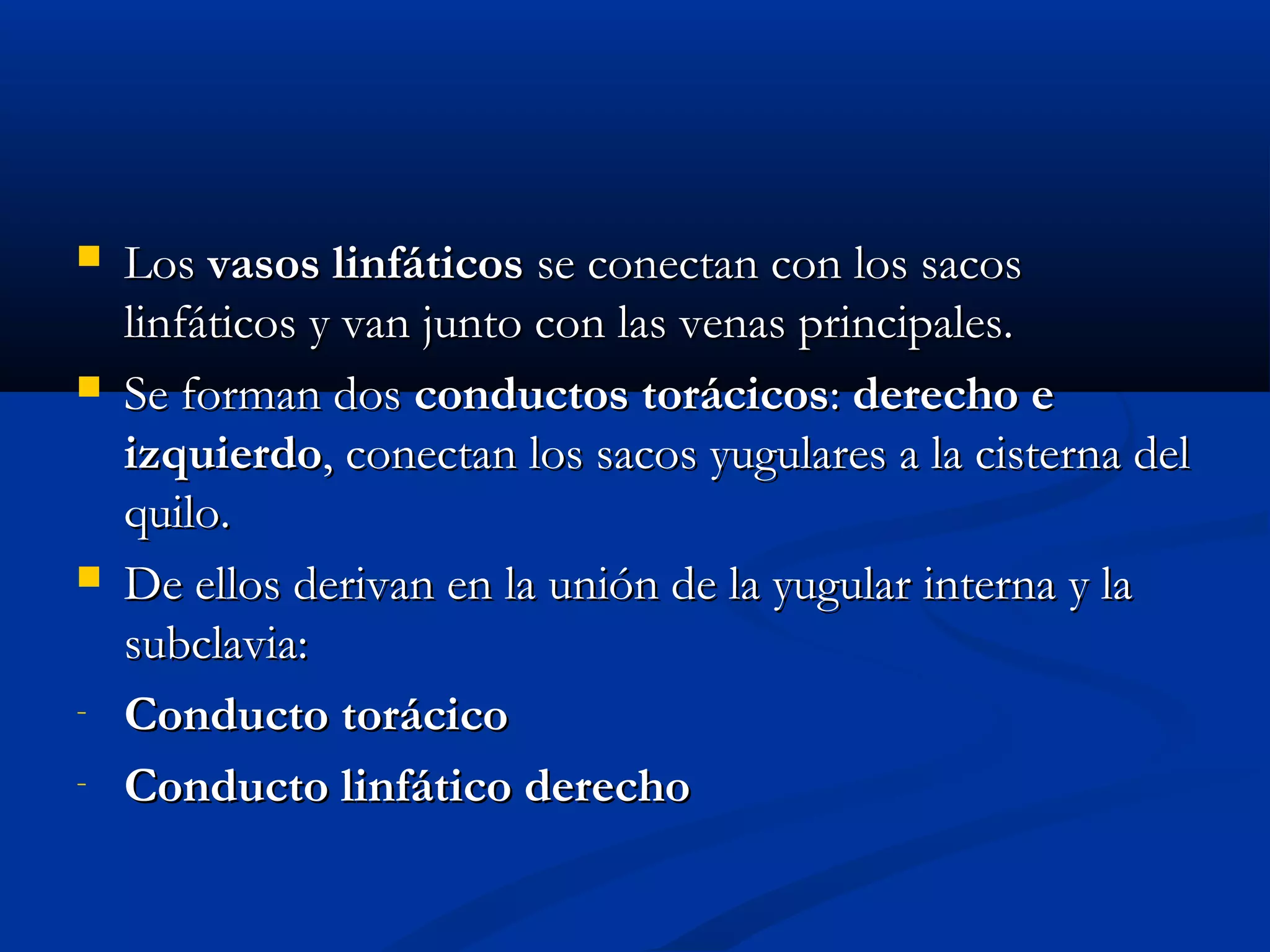  LLooss vvaassooss lliinnffááttiiccooss ssee ccoonneeccttaann ccoonn llooss ssaaccooss 
lliinnffááttiiccooss yy vvaann jjuunnttoo ccoonn llaass vveennaass pprriinncciippaalleess.. 
 SSee ffoorrmmaann ddooss ccoonndduuccttooss ttoorráácciiccooss:: ddeerreecchhoo ee 
iizzqquuiieerrddoo,, ccoonneeccttaann llooss ssaaccooss yyuugguullaarreess aa llaa cciisstteerrnnaa ddeell 
qquuiilloo.. 
 DDee eellllooss ddeerriivvaann eenn llaa uunniióónn ddee llaa yyuugguullaarr iinntteerrnnaa yy llaa 
ssuubbccllaavviiaa:: 
- CCoonndduuccttoo ttoorráácciiccoo 
- CCoonndduuccttoo lliinnffááttiiccoo ddeerreecchhoo 
 