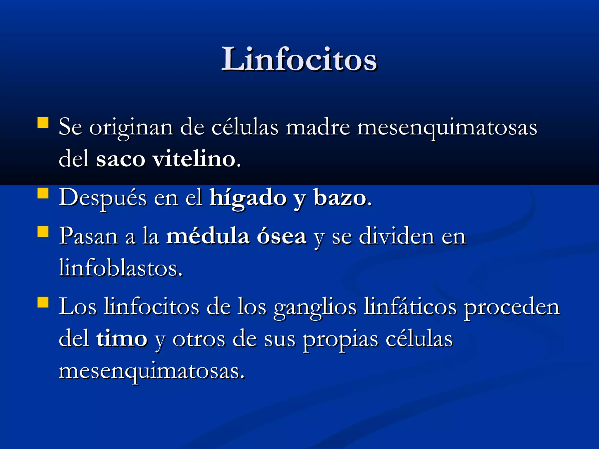 LLiinnffoocciittooss 
 SSee oorriiggiinnaann ddee ccéélluullaass mmaaddrree mmeesseennqquuiimmaattoossaass 
ddeell ssaaccoo vviitteelliinnoo.. 
 DDeessppuuééss eenn eell hhííggaaddoo yy bbaazzoo.. 
 PPaassaann aa llaa mméédduullaa óósseeaa yy ssee ddiivviiddeenn eenn 
lliinnffoobbllaassttooss.. 
 LLooss lliinnffoocciittooss ddee llooss ggaanngglliiooss lliinnffááttiiccooss pprroocceeddeenn 
ddeell ttiimmoo yy oottrrooss ddee ssuuss pprrooppiiaass ccéélluullaass 
mmeesseennqquuiimmaattoossaass.. 
 