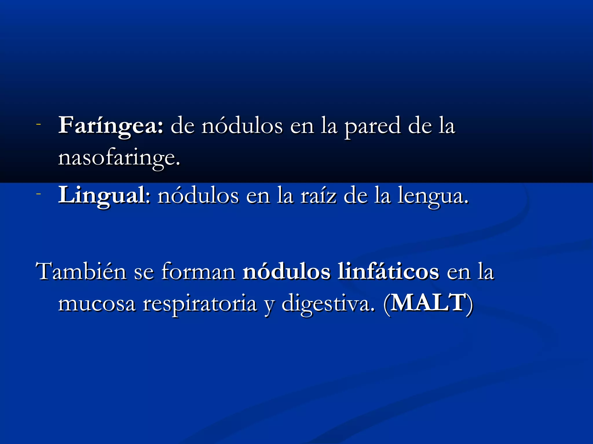 - FFaarríínnggeeaa:: ddee nnóódduullooss eenn llaa ppaarreedd ddee llaa 
nnaassooffaarriinnggee.. 
- LLiinngguuaall:: nnóódduullooss eenn llaa rraaíízz ddee llaa lleenngguuaa.. 
TTaammbbiiéénn ssee ffoorrmmaann nnóódduullooss lliinnffááttiiccooss eenn llaa 
mmuuccoossaa rreessppiirraattoorriiaa yy ddiiggeessttiivvaa.. ((MMAALLTT)) 
 