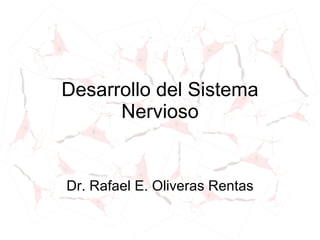 Desarrollo del Sistema Nervioso Dr. Rafael E. Oliveras Rentas 