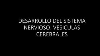 DESARROLLO DEL SISTEMA
NERVIOSO: VESICULAS
CEREBRALES
 